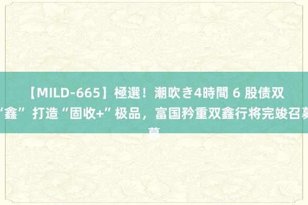 【MILD-665】極選！潮吹き4時間 6 股债双“鑫” 打造“固收+”极品，富国矜重双鑫行将完竣召募