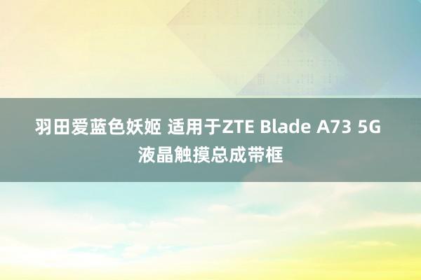 羽田爱蓝色妖姬 适用于ZTE Blade A73 5G 液晶触摸总成带框