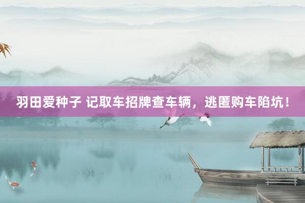 羽田爱种子 记取车招牌查车辆，逃匿购车陷坑！