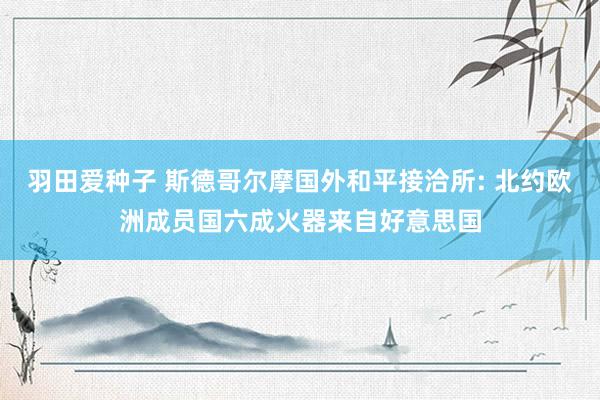羽田爱种子 斯德哥尔摩国外和平接洽所: 北约欧洲成员国六成火器来自好意思国