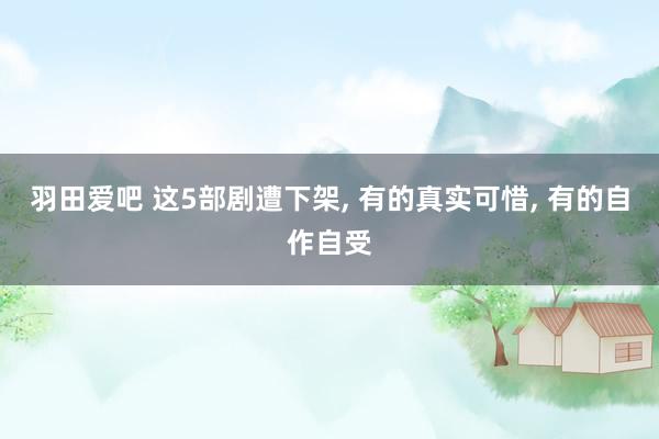 羽田爱吧 这5部剧遭下架， 有的真实可惜， 有的自作自受