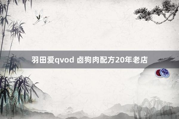 羽田爱qvod 卤狗肉配方20年老店