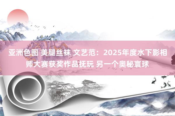 亚洲色图 美腿丝袜 文艺范：2025年度水下影相师大赛获奖作品抚玩 另一个奥秘寰球